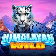 Himalayan Wild