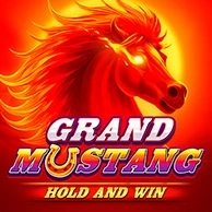 Grand Mustang