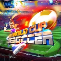 WILD Cup Soccer