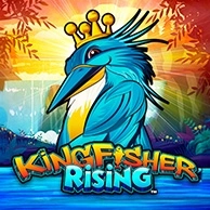 Kingfisher Rising