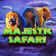 Majestic Safari