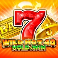 Wild Hot 40 Hold And Win