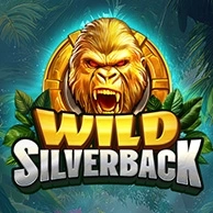 Wild Silverback