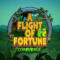 A Flight Of Fortune