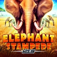Elephant Stampede Se