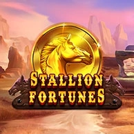 Stallion Fortunes