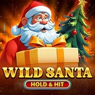 Wild Santa - Hold And Hit