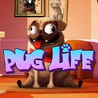 Pug Life