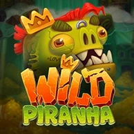 Wild Piranha