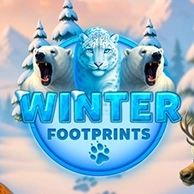 Winter Footprints