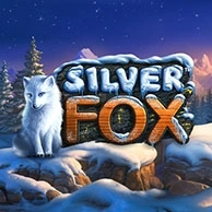 Silver Fox