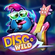 Disco Wild
