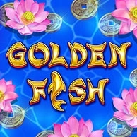 Golden Fish Amatic