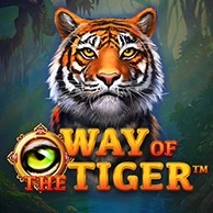 Way Of The Tiger