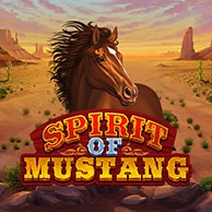 Spirit of Mustang 