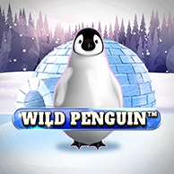 Wild Penguin