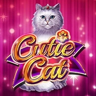 Cutie Cat
