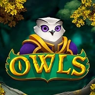 Owls