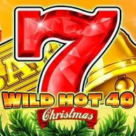 Wild Hot 40 Christmas