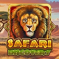 Safari Discovery