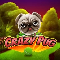 Crazy Pug