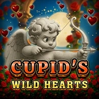 Cupids Wild Hearts