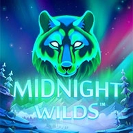 Midnight Wild