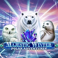 Majestic Winter - Polar Adventures