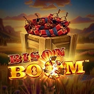 Bison Boom
