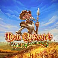 Don Quixote's Wild Adventures