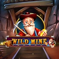 Wild Mine
