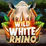 Wild White Rhino