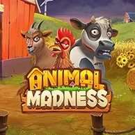 Animal Madness
