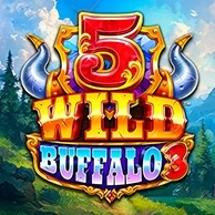 5 Wild Buffalo 3