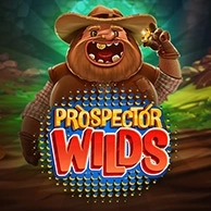 Prospector Wilds