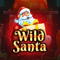 Wild Santa