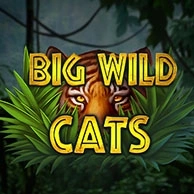 Big Wild Cats
