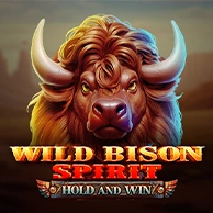 Wild Bison Spirit Hold And Win