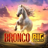 Bronco Big Bounty