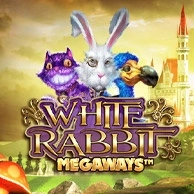 White Rabbit
