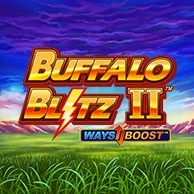 Buffalo Blitz 2