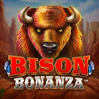 Playbison​ https://pieknapolka.com.pl/