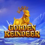 Golden Reindeer