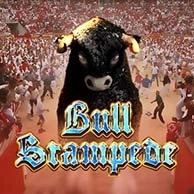 Bull Stampede