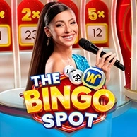 The Bingo Spot