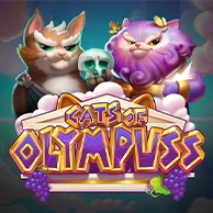 Cats Of Olympus