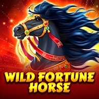 Wild Fortune Horse