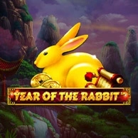 Year of the Rabbit