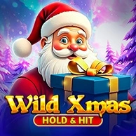 Wild Xmas - Hold And Hit