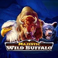 Majestic Wild Buffalo